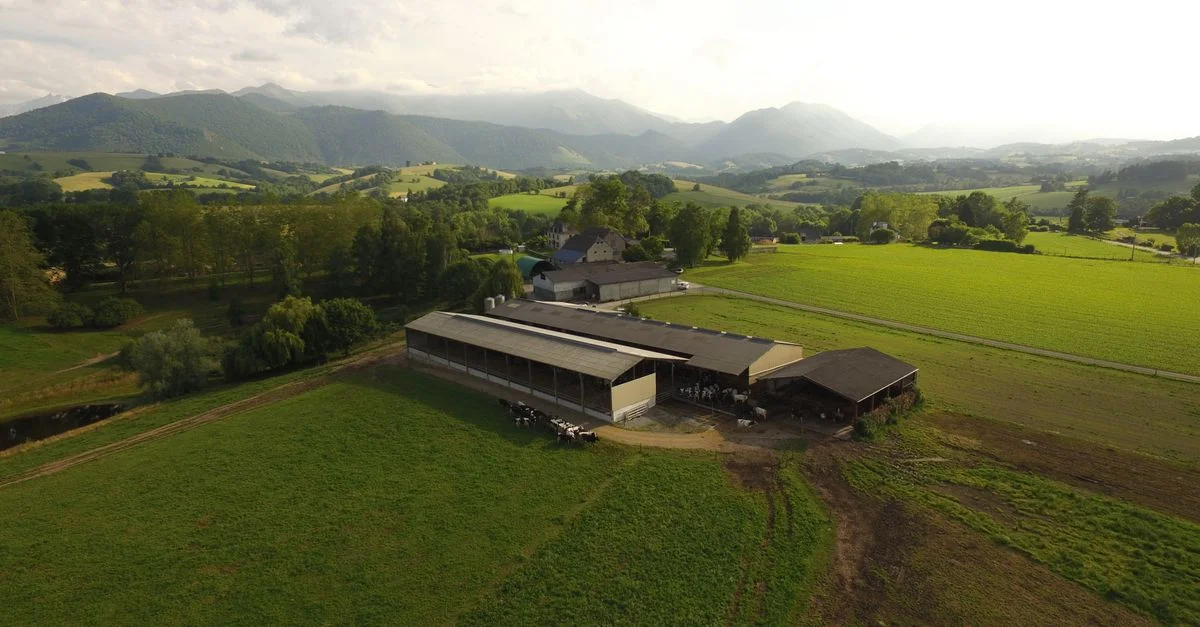 Vue aérienne d'une ferme pittoresque à Asson, Nouvelle-Aquitaine, France, avec un magnifique paysage montagneux en arrière-plan.